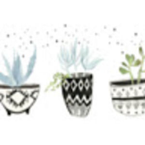 Meet your Posher, Y.